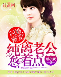 赘婿当道